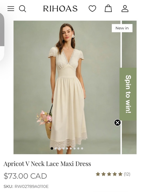 RIHOAS Dresses & Skirts - RIHOAS Apricot Lace V-Neck Maxi Dress